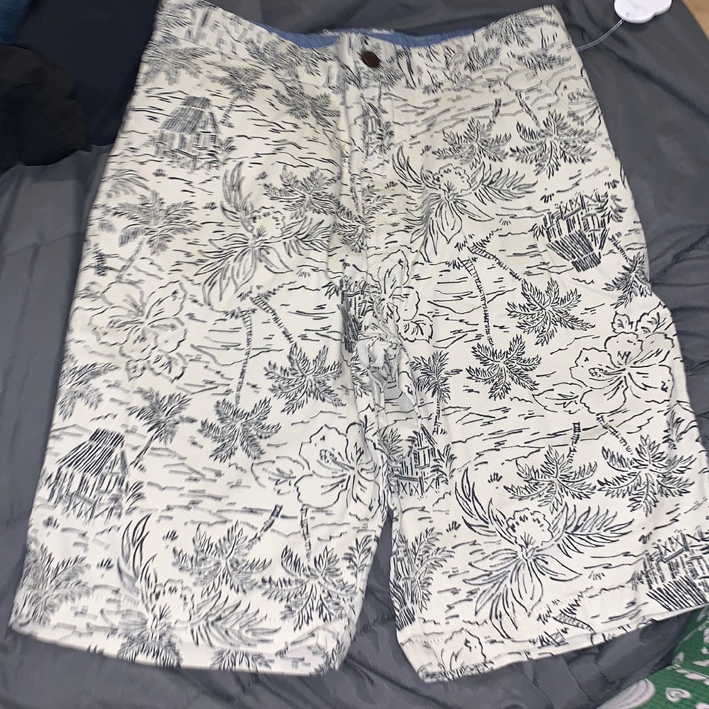 Boys 18 Shorts